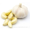Fresh Garlic Cloves Peeled For Sale